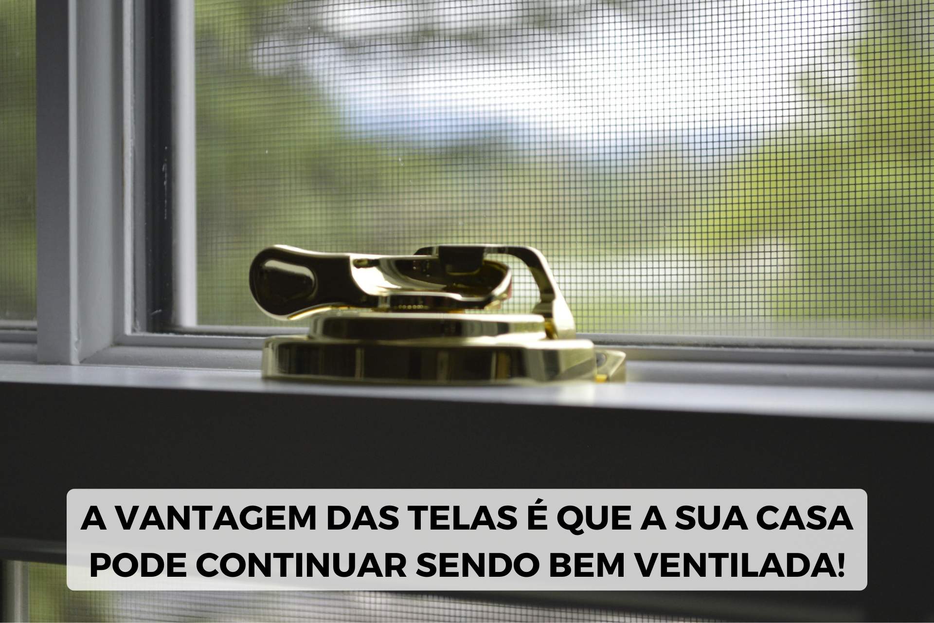 combater mosquitos com rede